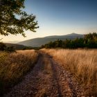 Al tramonto sulle colline di San Severino Marche 