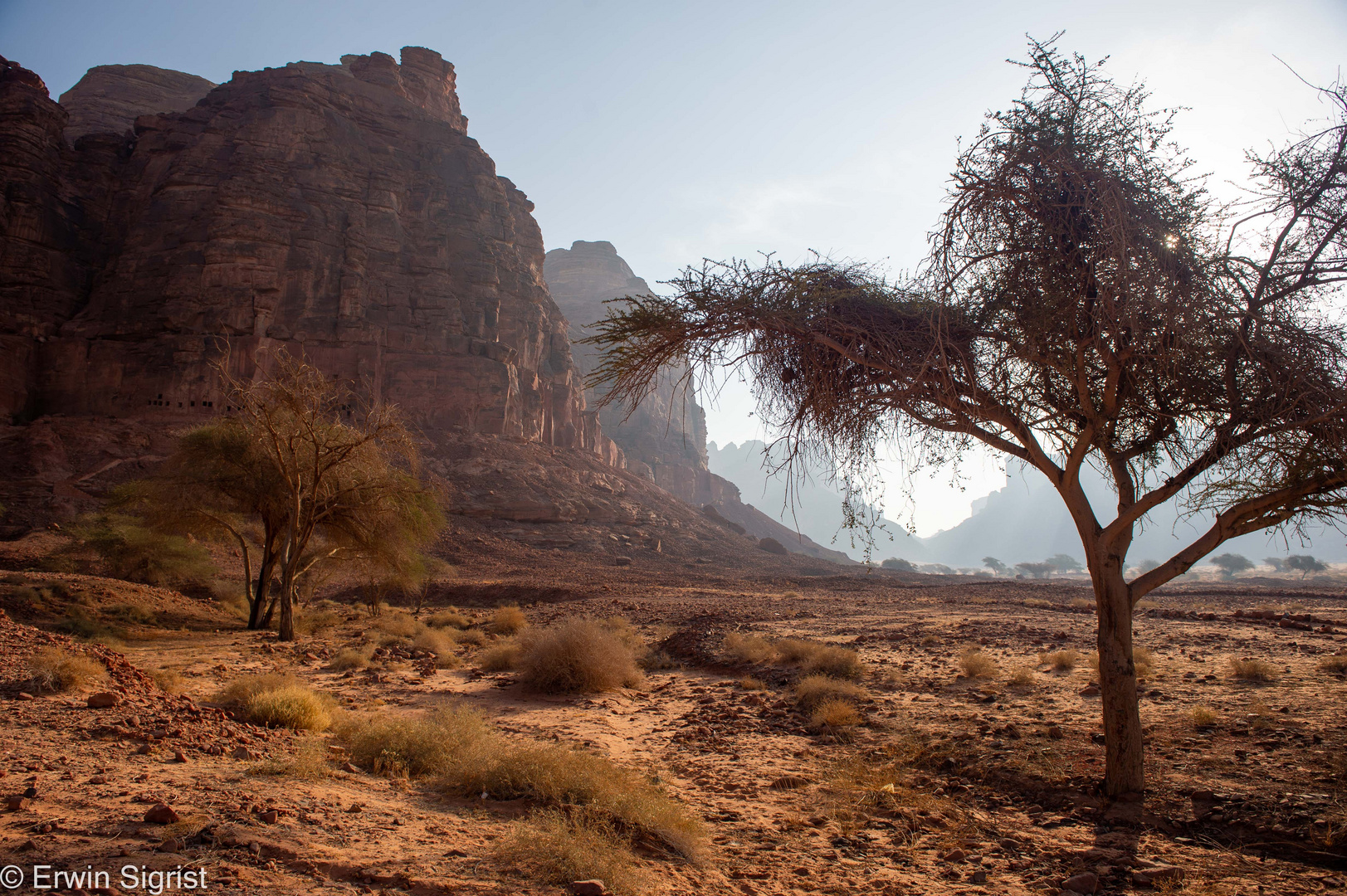 Al Ula - Saudi Arabien