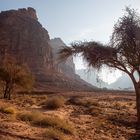 Al Ula - Saudi Arabien