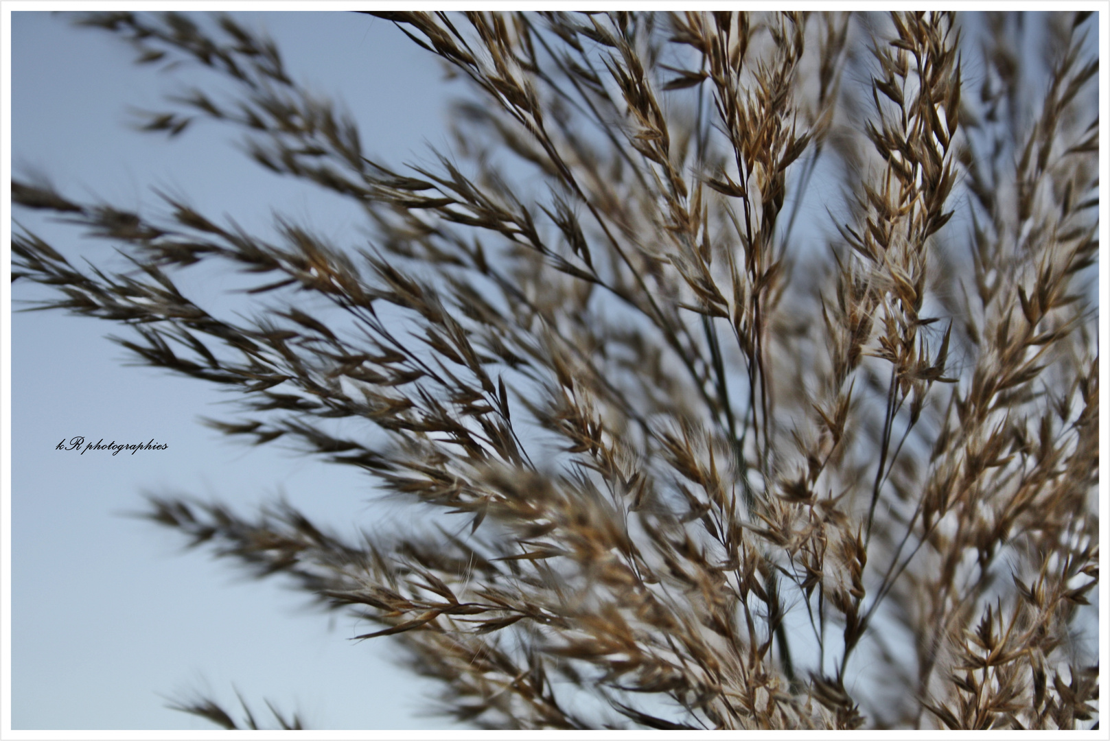 al viento