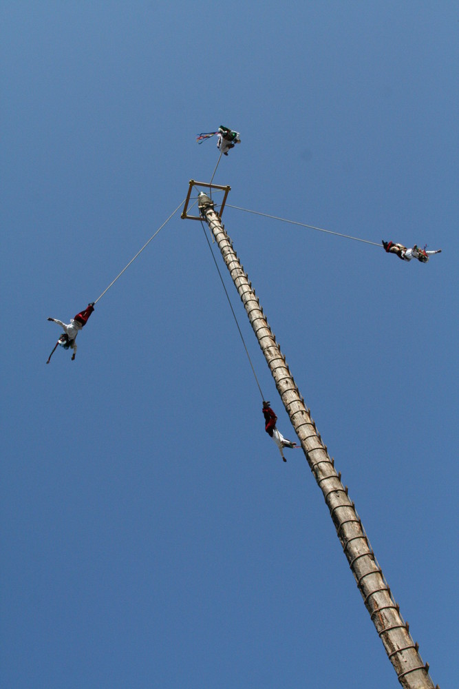 Al vuelo de Alejandro Meneses Manzano 