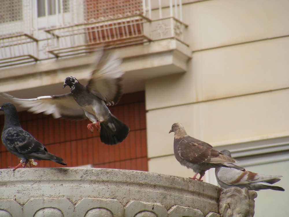 AL VUELO