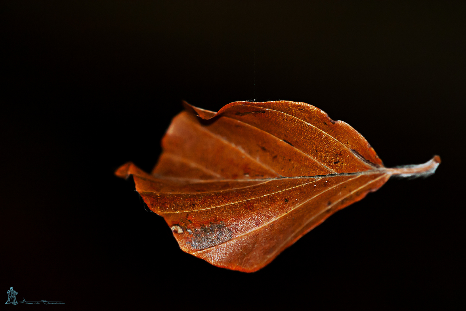 Al vuelo II