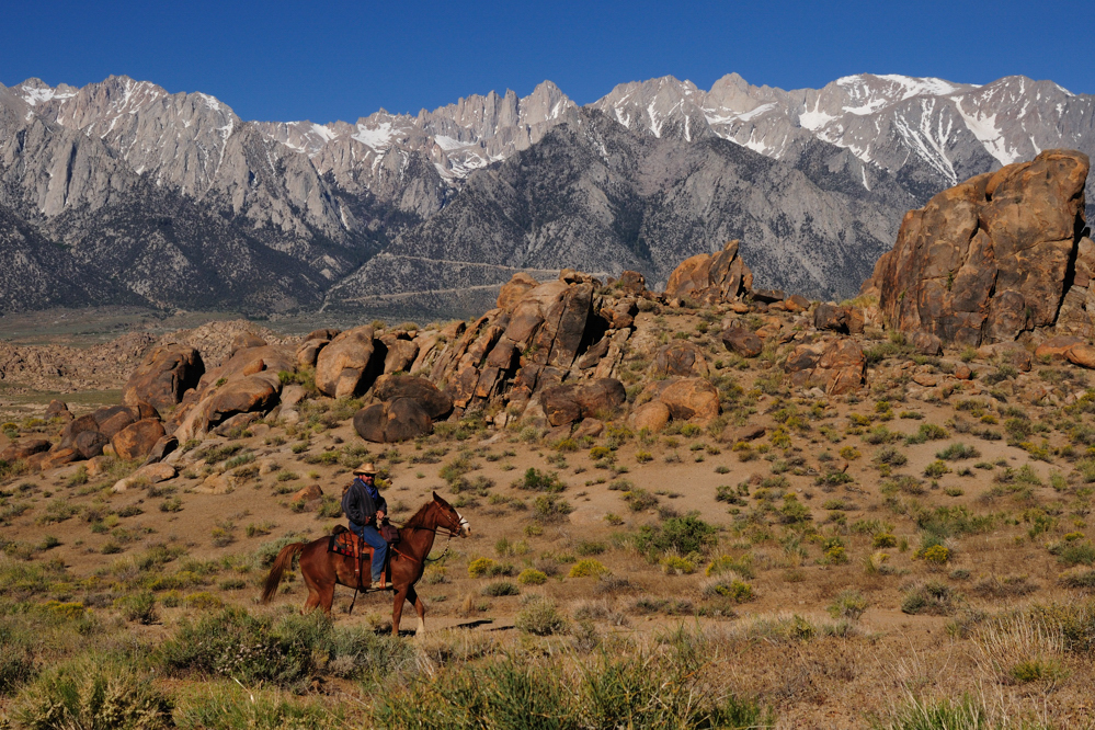 Alabama Hills Cowboy