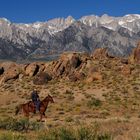 Alabama Hills Cowboy