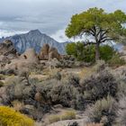 Alabama Hills