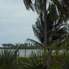 ALAGOAS - Praia do Camaragibe 2