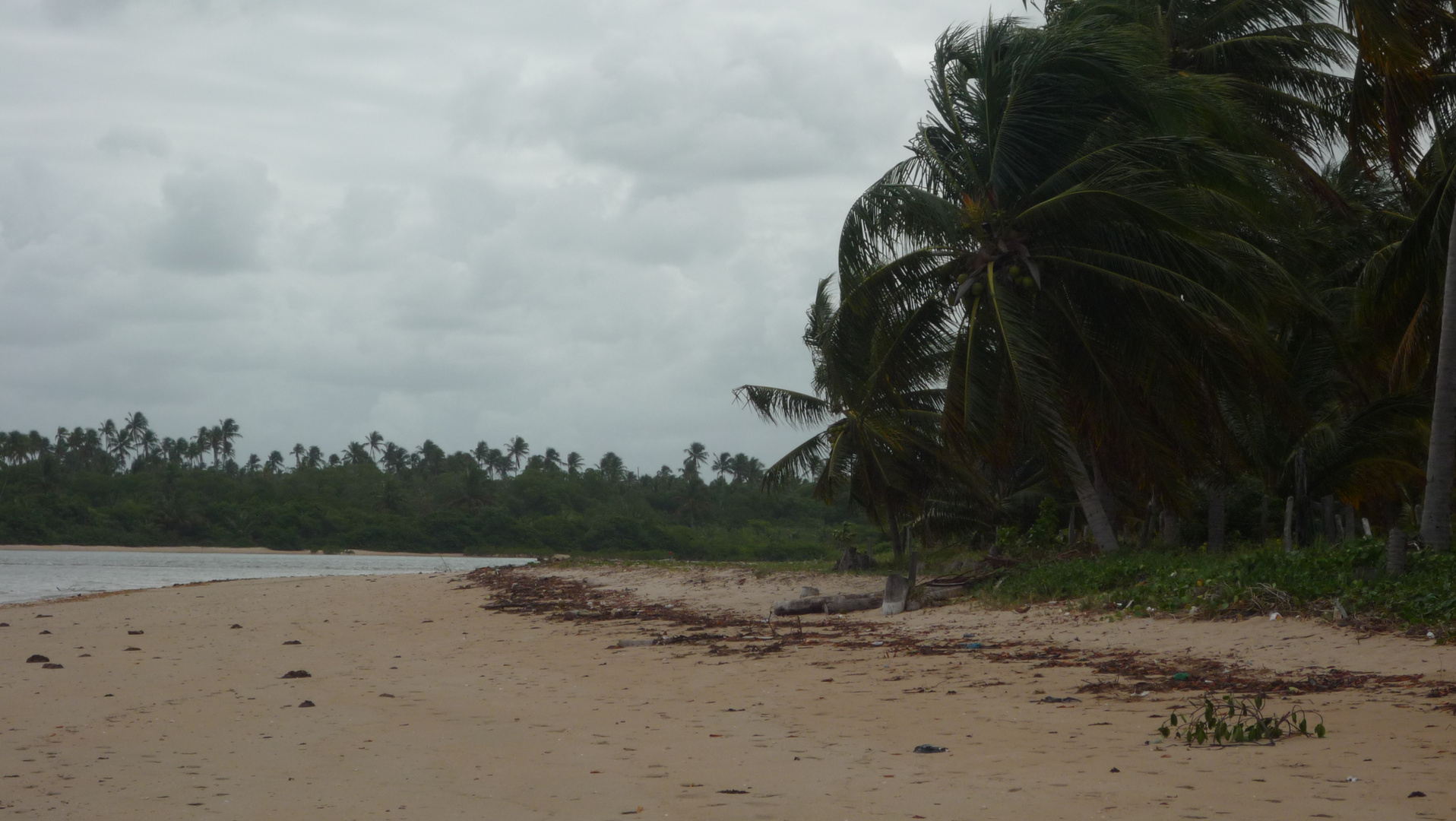 ALAGOAS - Praia do Camaragibe