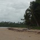 ALAGOAS - Praia do Camaragibe