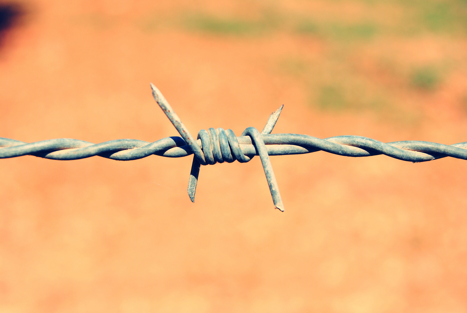 Alambrada Imagen & Foto elementos , naturaleza Fotos de