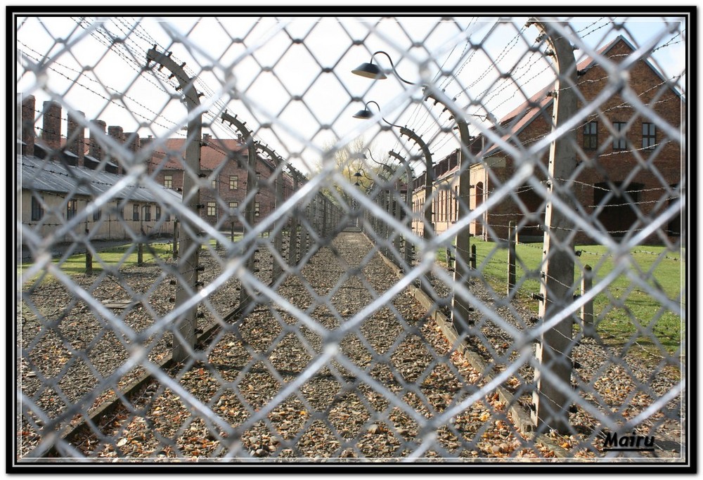 Alambrada del campo de concentración de Auschwitz