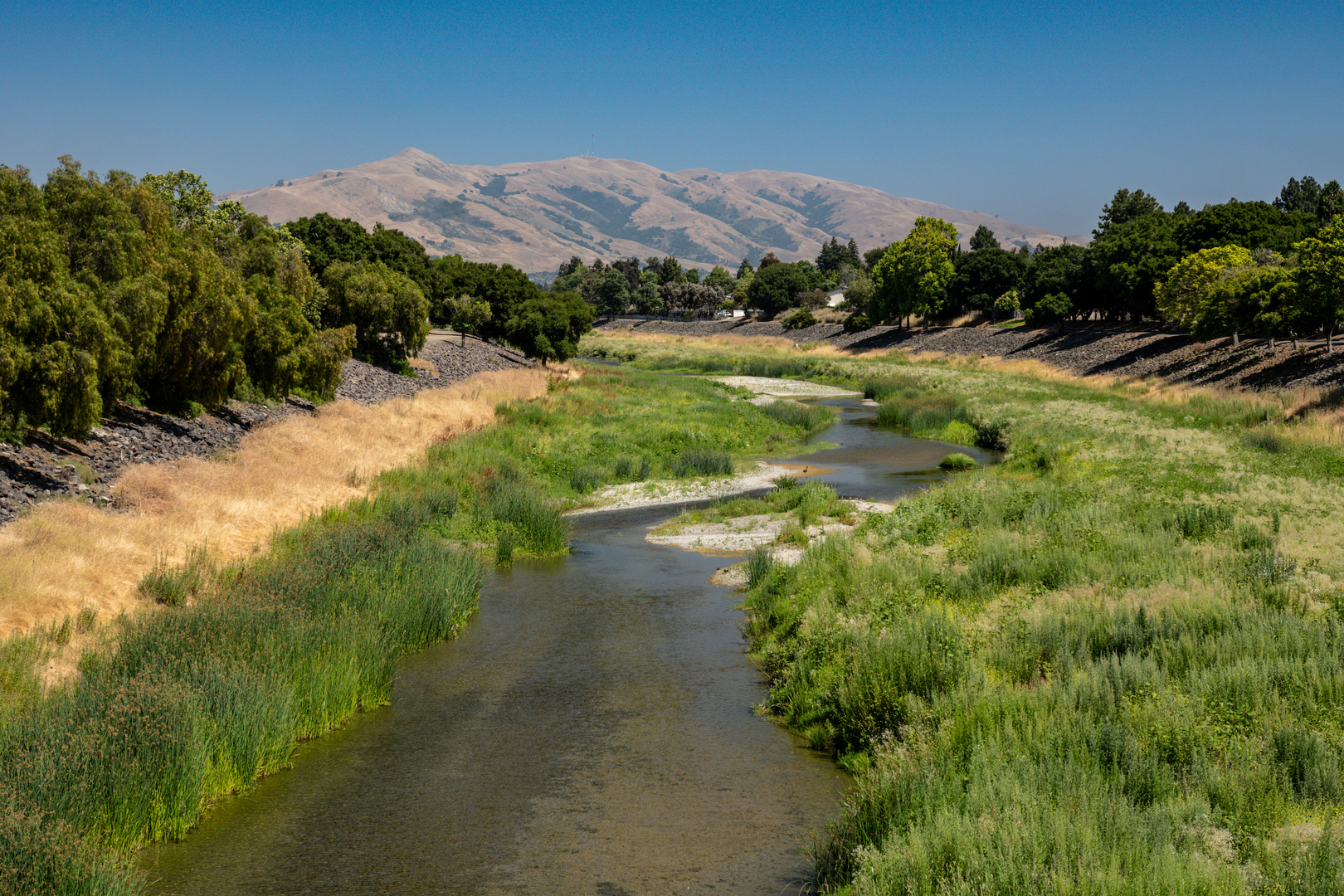 Alameda Creek, Fremont - California