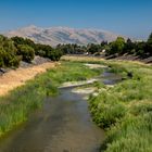 Alameda Creek, Fremont - California