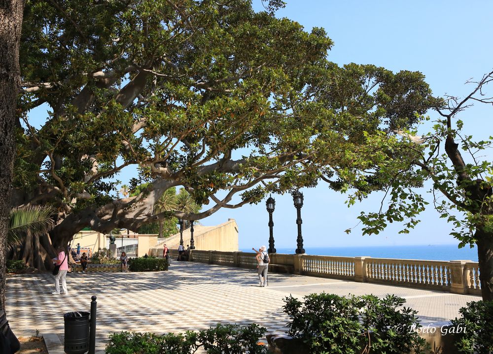 Alameda Marqués de Comillas Garden