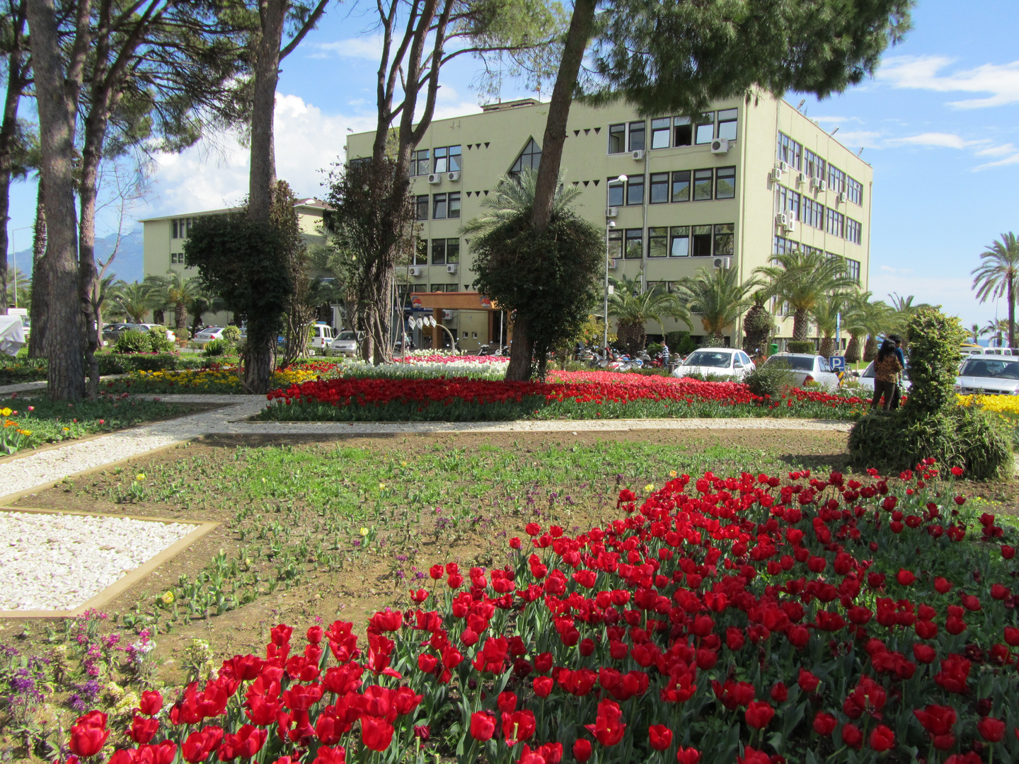 Alanya Garden 2011