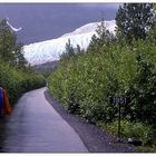 Alaska: Exit Glacier damals und heute