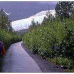 Alaska: Exit Glacier damals und heute