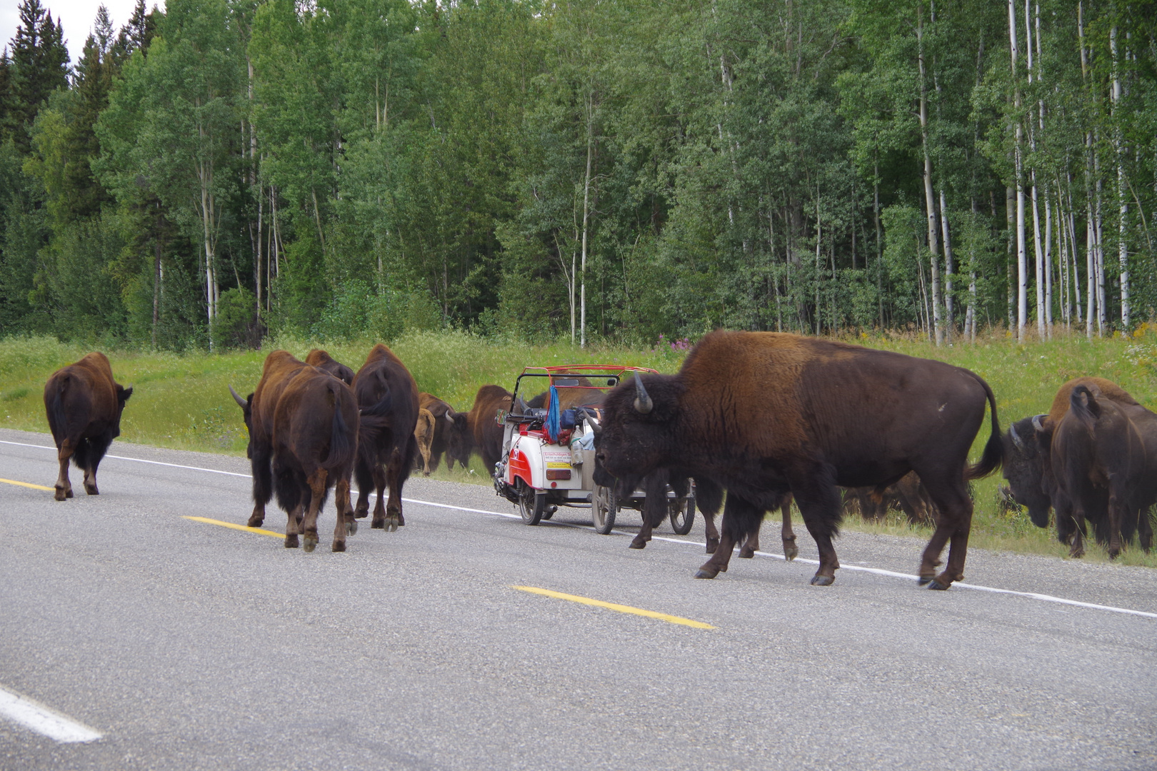 Alaska Highway