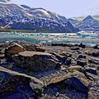 Alaska, Icefield