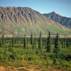 Alaska-Impressionen (22)