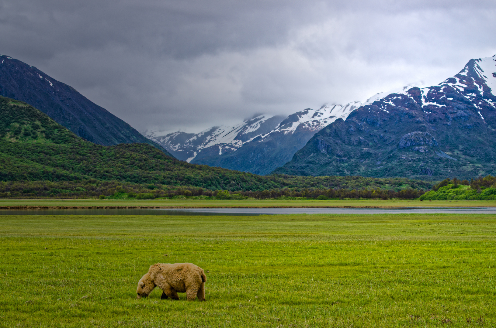 Alaska, Katmai NP