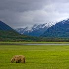 Alaska, Katmai NP