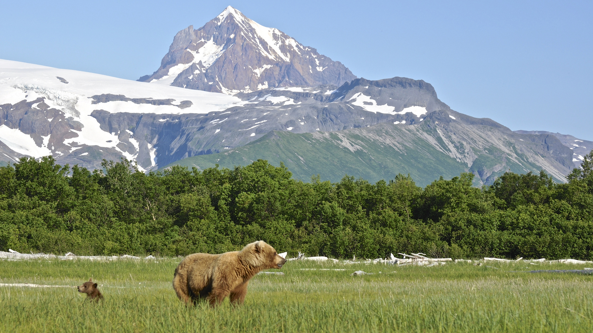 ALASKA - KATMAI NP