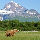 ALASKA - KATMAI NP