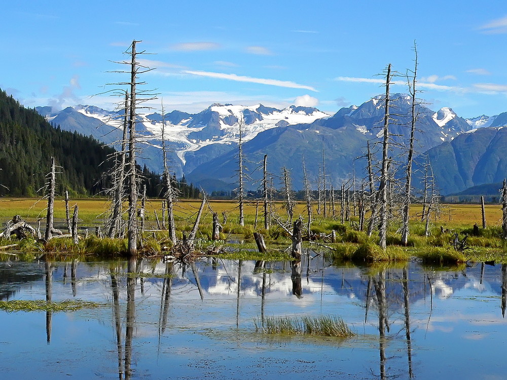 Alaska - Kenai Penninsula