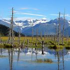 Alaska - Kenai Penninsula