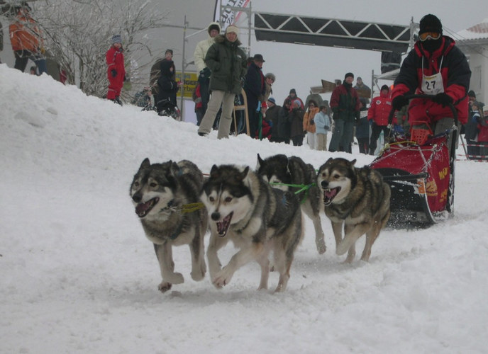 Alaska liegt mitten in Hessen