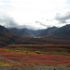 Alaska Nationalpark