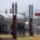 Alaska Pipeline 562