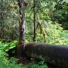 Alaska Pipeline