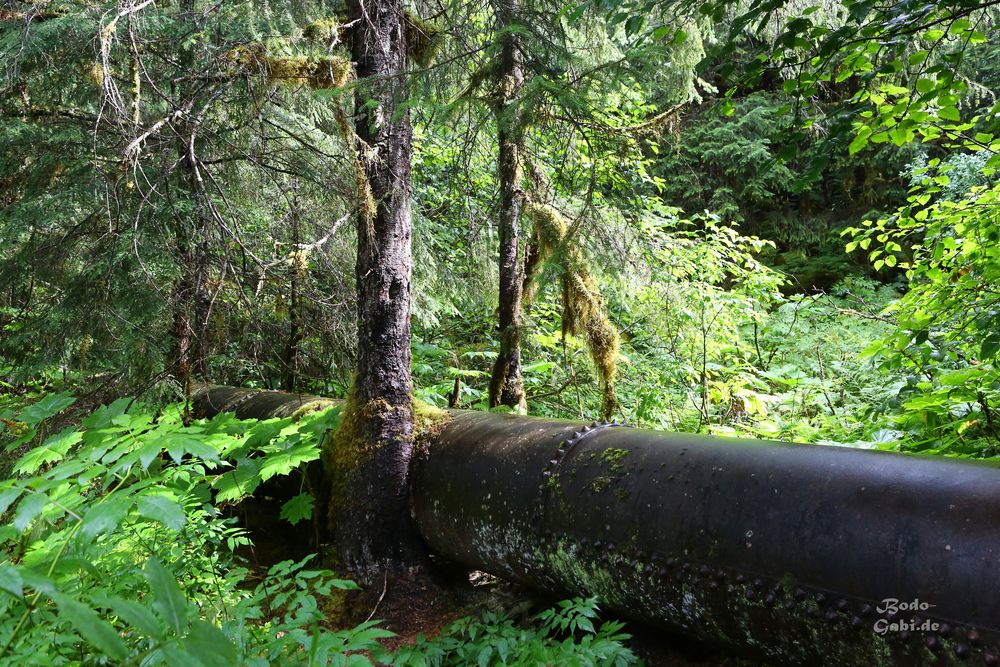 Alaska Pipeline