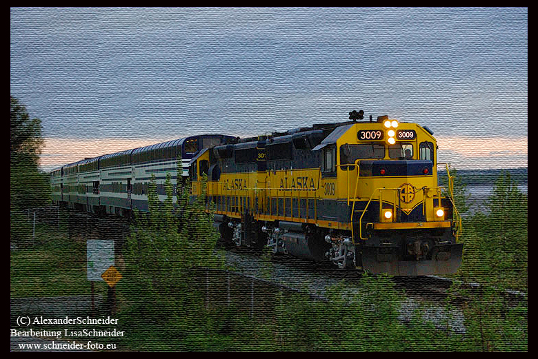 Alaska Railroad von Steward nach Anchorage