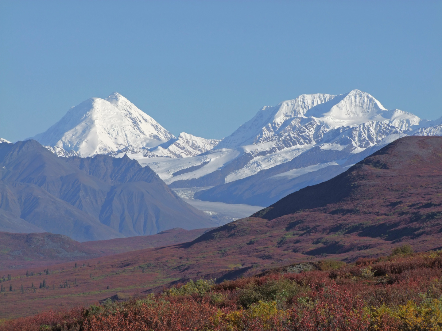 Alaska Range, Blick vom Denali Highway