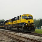 Alaska Train