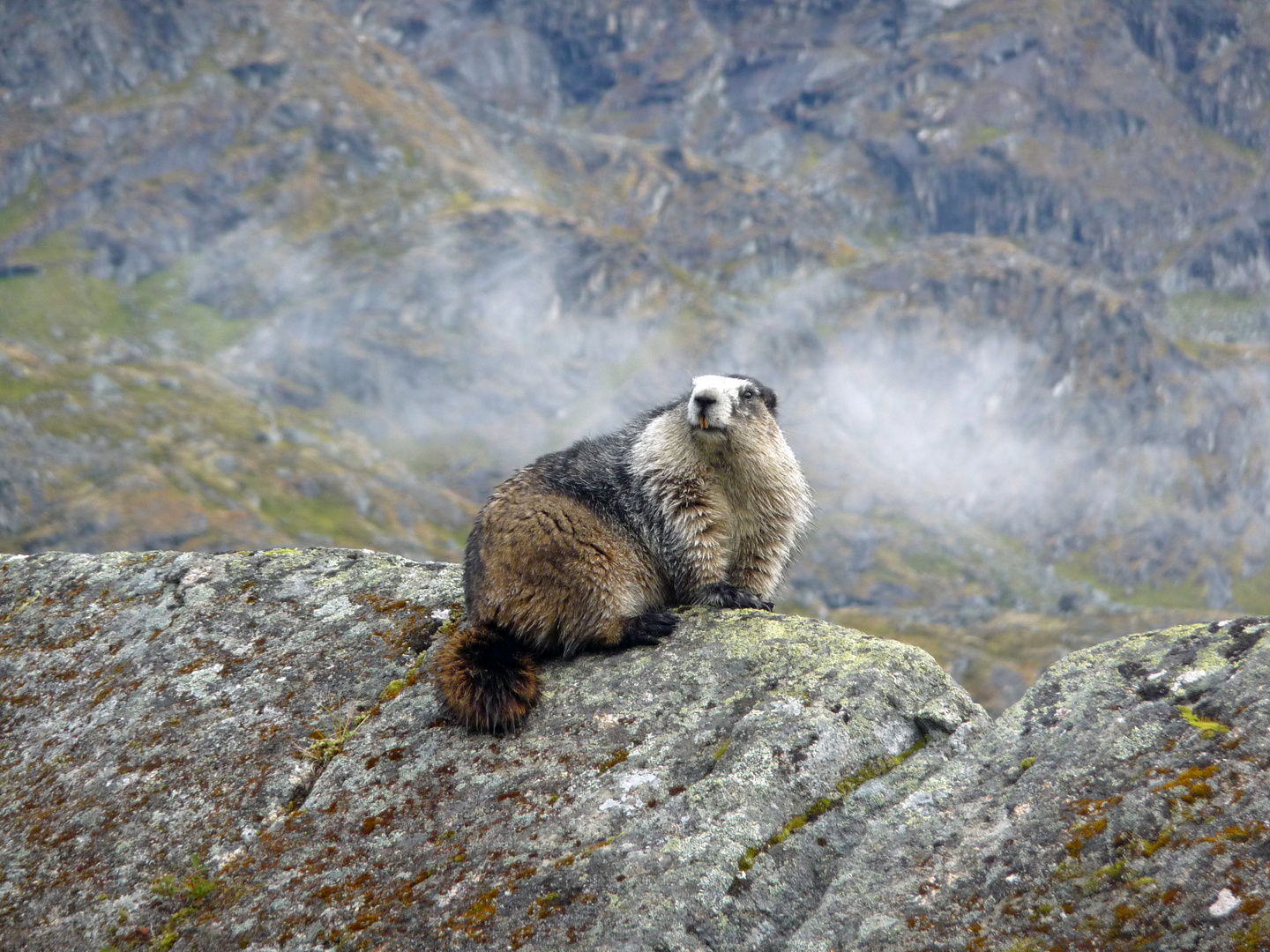 Alaska: Und täglich grüßt das Murmeltier