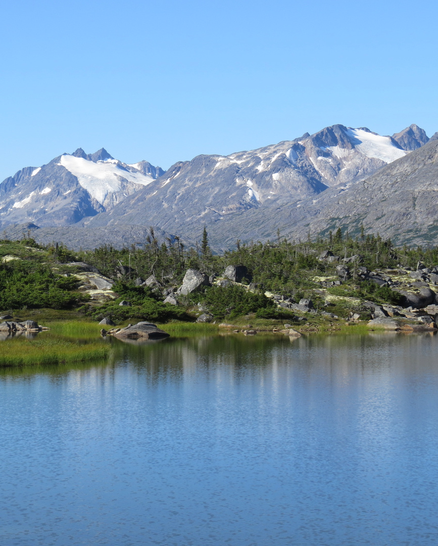 Alaska White Pass 2