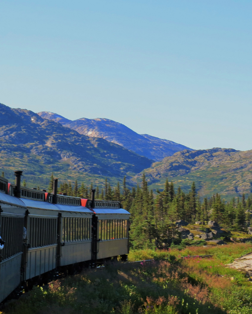 Alaska White Pass 5