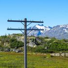 Alaska white pass 