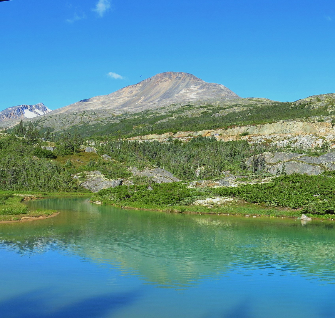 Alaska White Pass