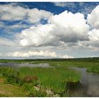 Alaskan Marshes