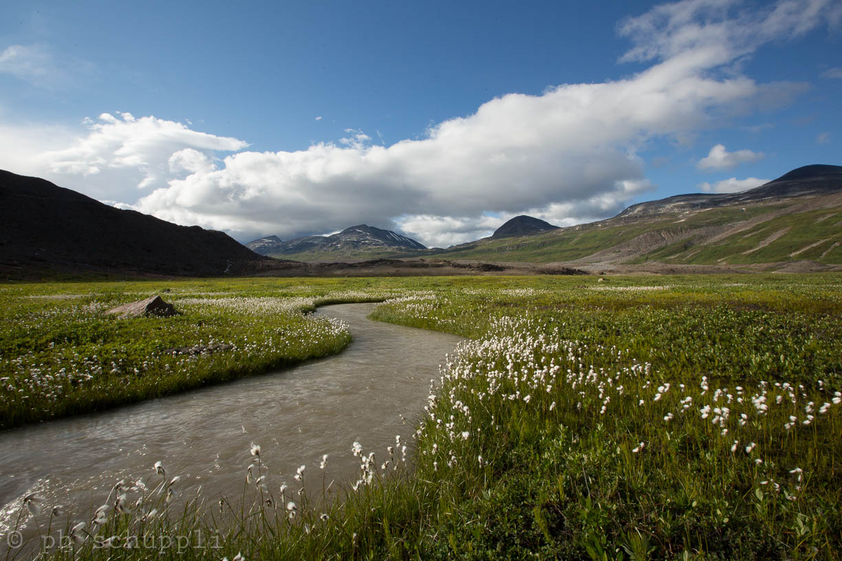 Alaskan River