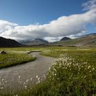 Alaskan River