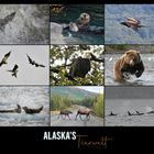 Alaska's Tierwelt