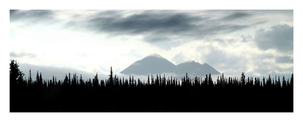 Alaskas Wälder