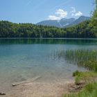 Alatsee bei Füssen