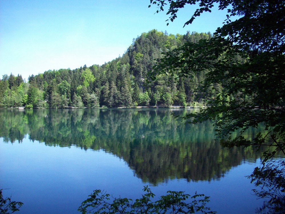 Alatsee bei Füssen im Mai